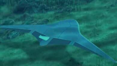 Drones submarinos que imitan a las mantarrayas esta es la