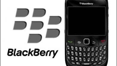 Elegir el Blackberry correcto 0