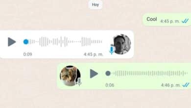 Whatsapp-Audio