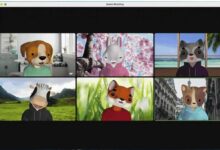 Ahora puedes usar avatares de animales en las videollamadas de Zoom
