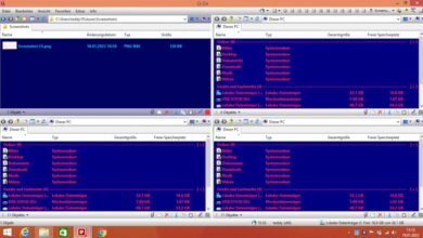 Administre archivos en Windows: Q-Dir Quad Window File Manager Update utiliza Q-Dir File Manager, la primera letra del nombre indica qué es: Quad File Manager, es decir, con (hasta) cuatro administradores de archivos divididos.