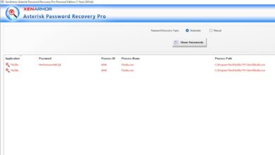 Lista de contraseñas en Asterisk Password Recovery Pro