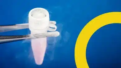 Las principales etapas del transporte internacional de criopreservados en Arkcryo.com 1 Las principales etapas del transporte internacional de criopreservados